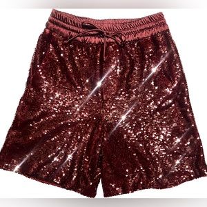 Zara sequin high waist shorts